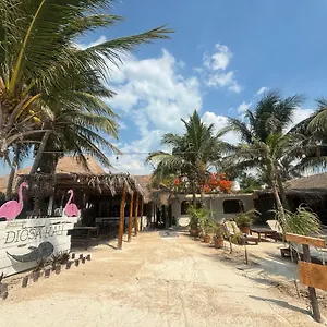 La Diosa Kali Front *** Isla Holbox